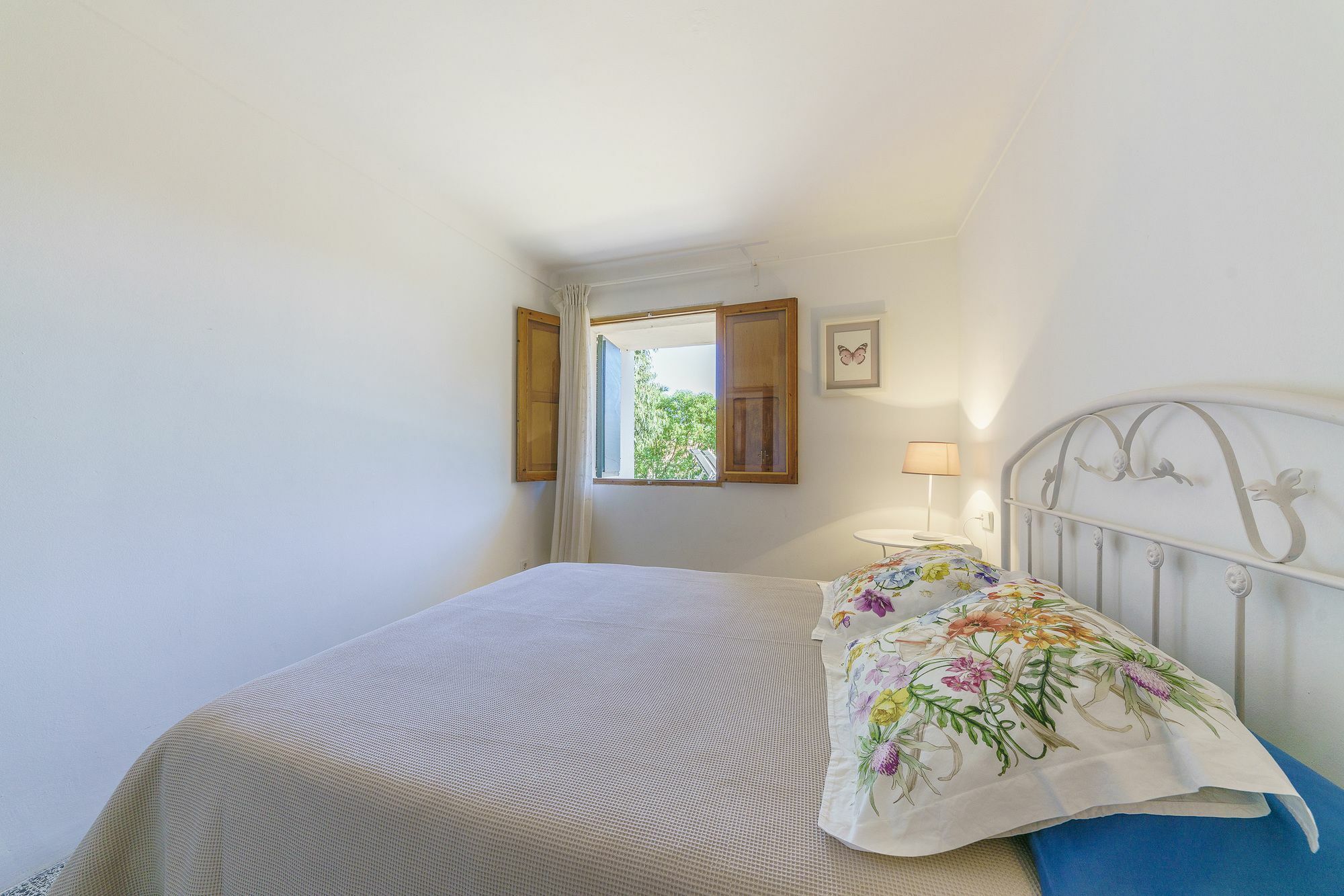 Villa Ficus Port de Alcudia  Eksteriør billede