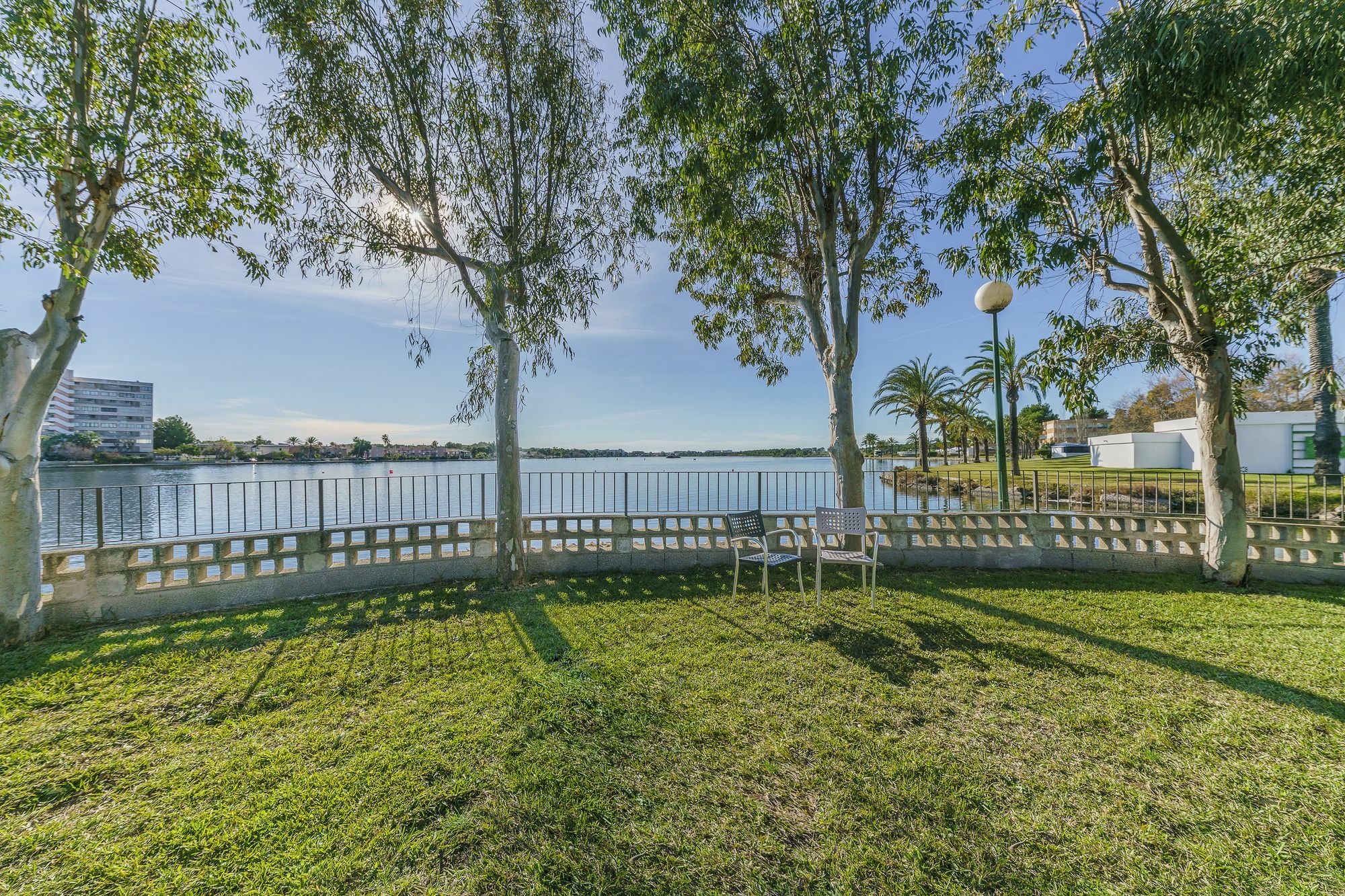 Villa Ficus Port de Alcudia  Eksteriør billede
